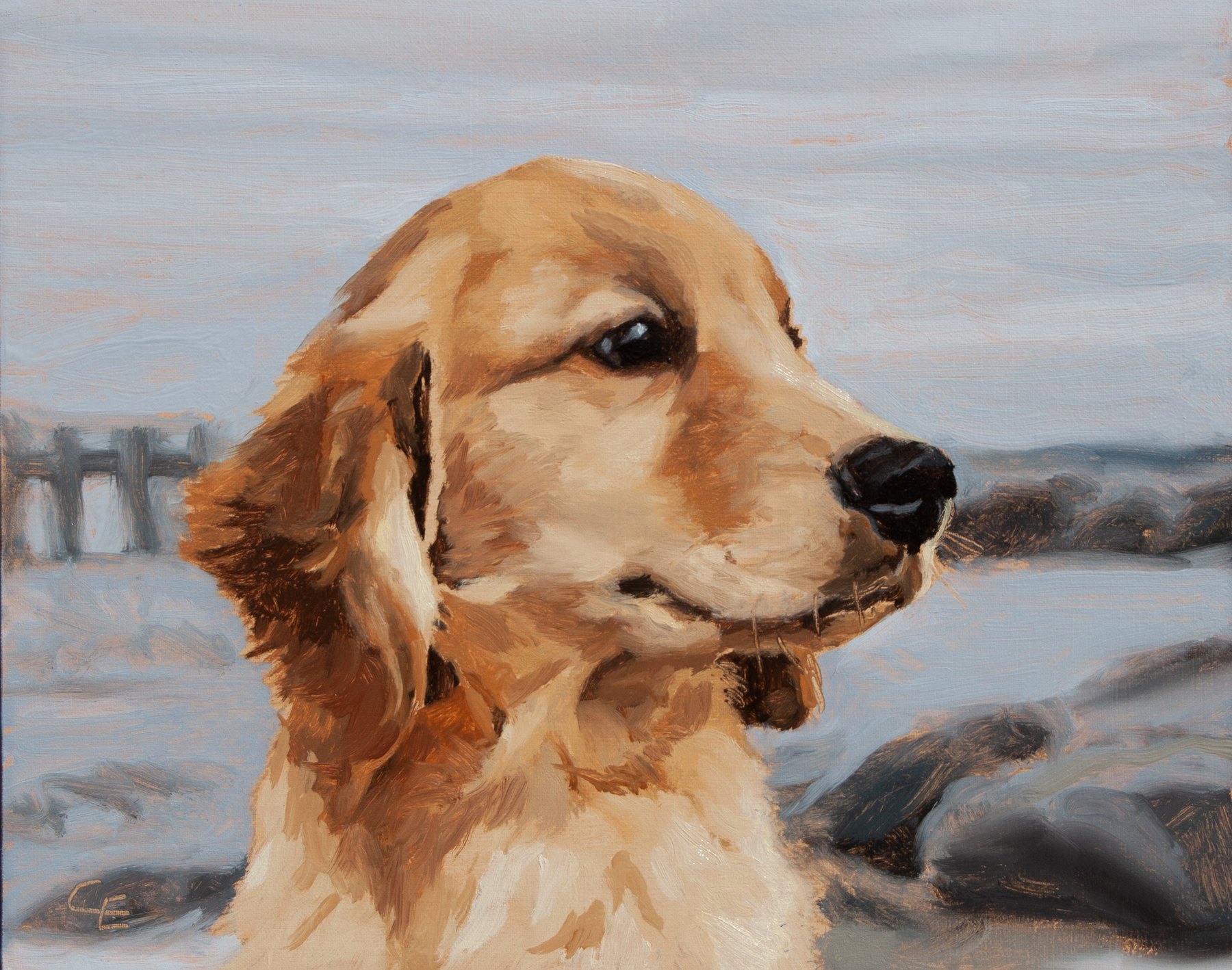 Golden Retriever Puppy · Oil on Canvas