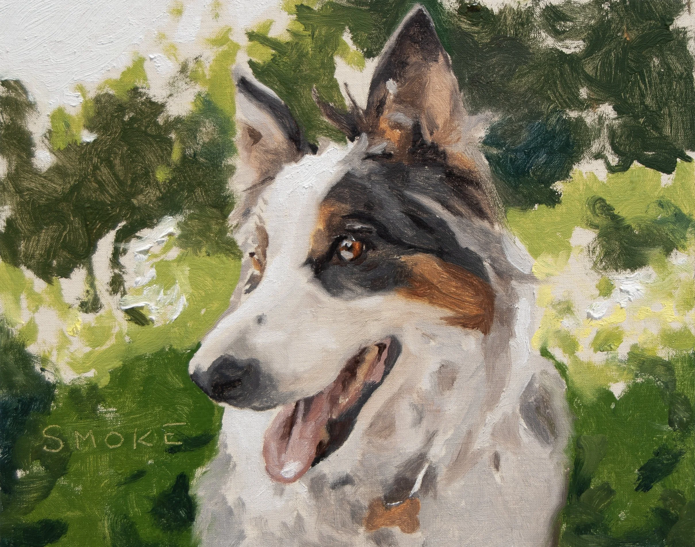 Oil portrait of Smoke, Australian Shepherd, by Chris Eastland